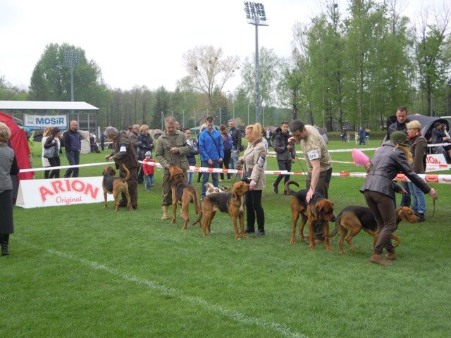 50. Rybnik.JPG