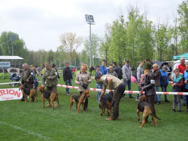 52. Rybnik.JPG