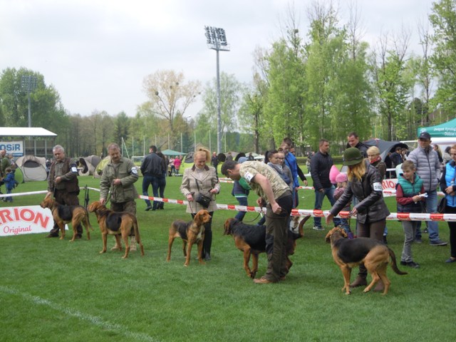 53. Rybnik.JPG