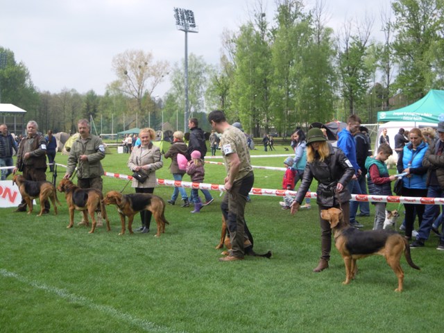 54. Rybnik.JPG