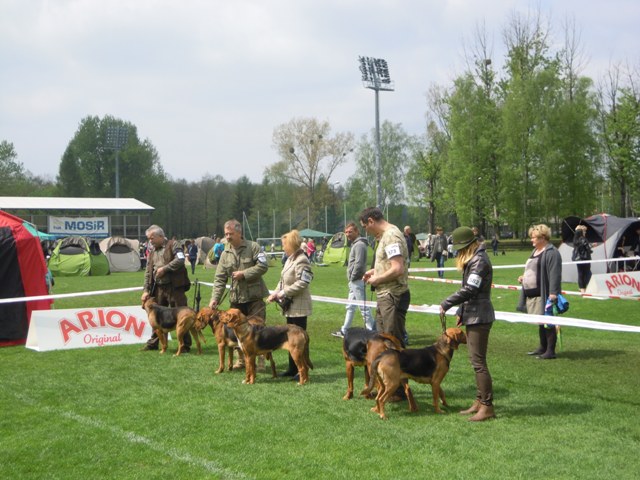 56. Rybnik.JPG