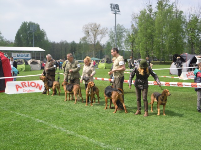 57. Rybnik.JPG