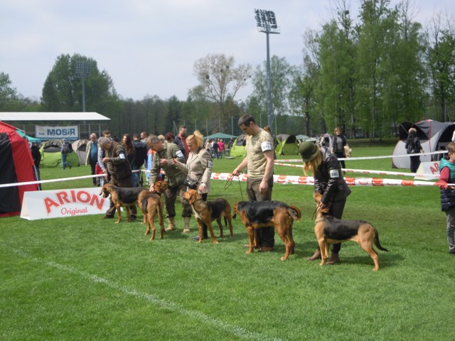 58. Rybnik.JPG