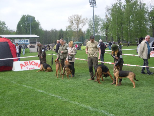60. Rybnik.JPG