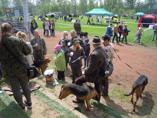 68. Rybnik.JPG