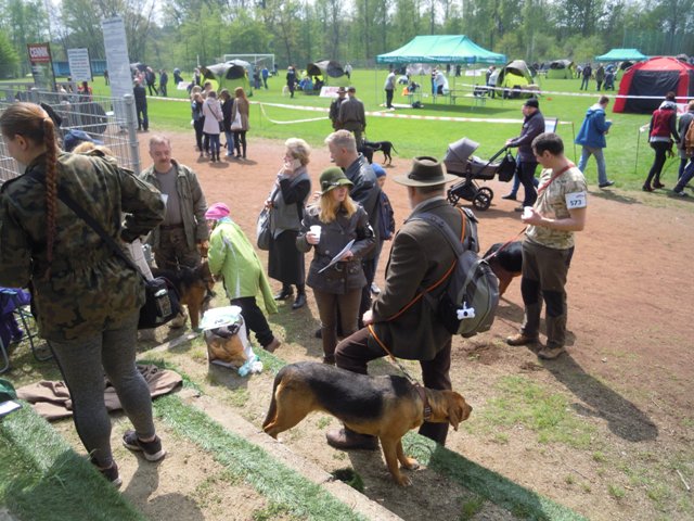 69. Rybnik.JPG