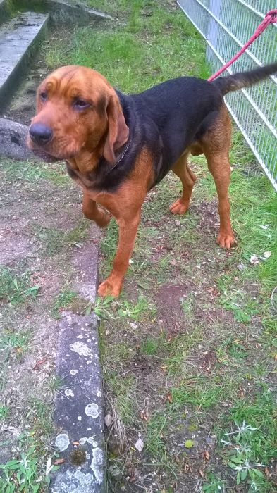 WP_20170507_12_31_16_Pro.jpg