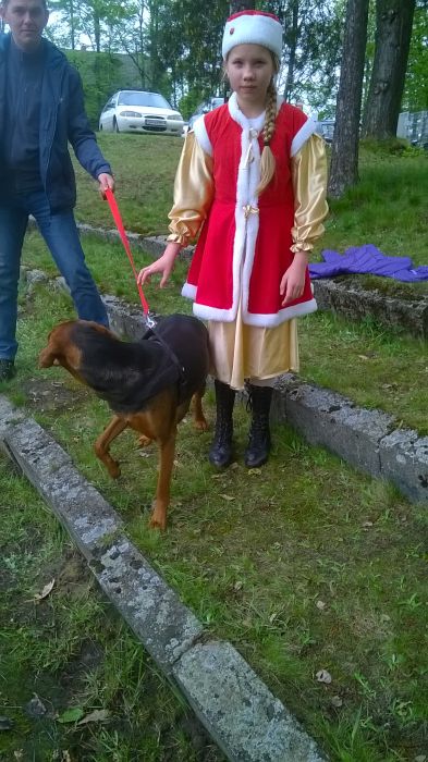 Róża