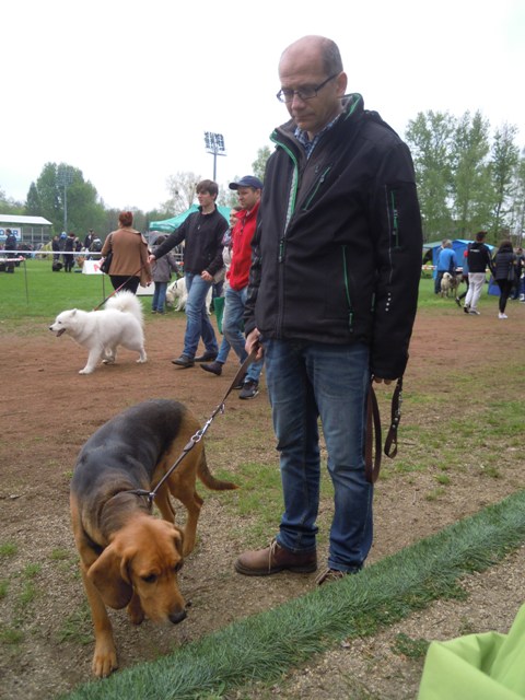 2. Rybnik.JPG