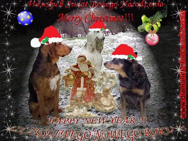 xgreetings_xmas.jpg