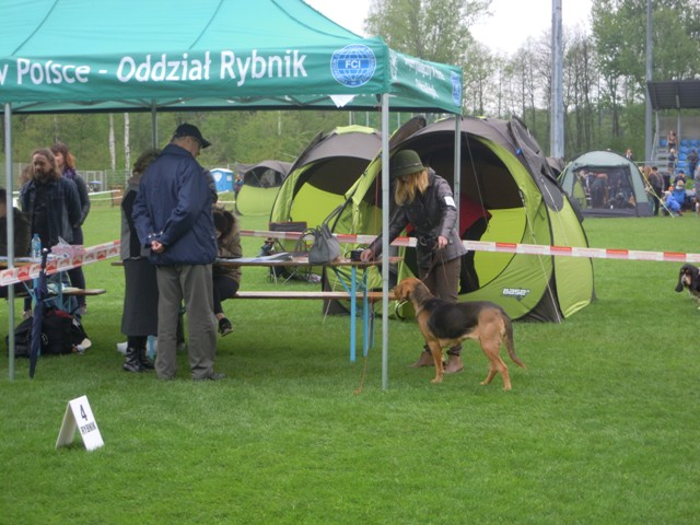 13. Rybnik.JPG