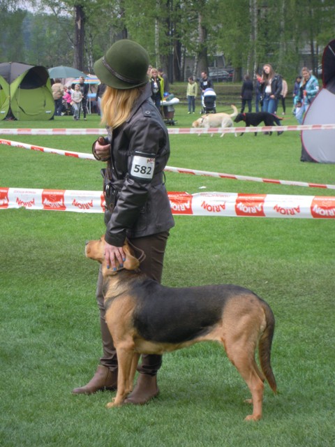 25. Rybnik.JPG