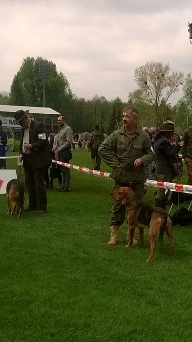 Dunia i Czujna