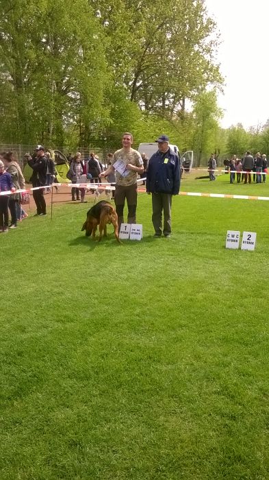 Czarny czyli Hanto