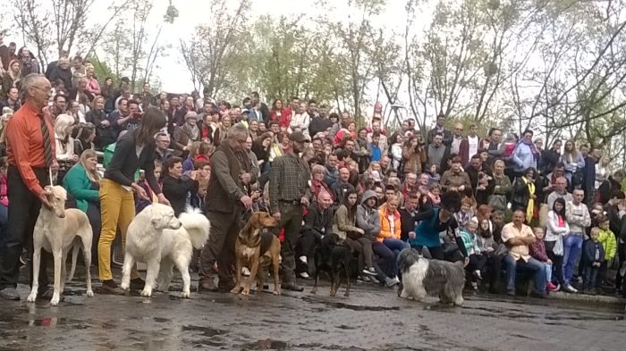 WP_20170507_15_30_48_Pro.jpg