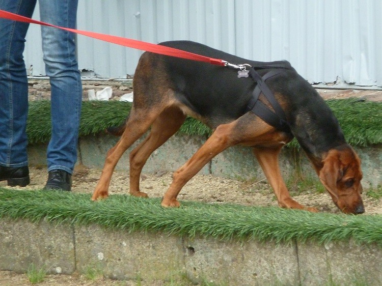 P1050774z.JPG