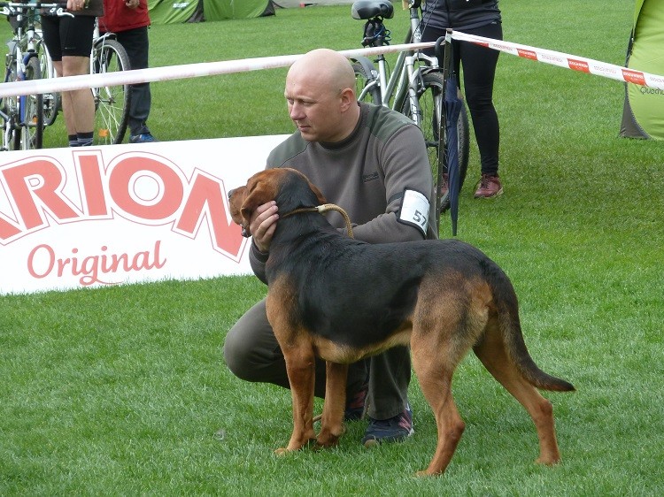 P1050777z.JPG