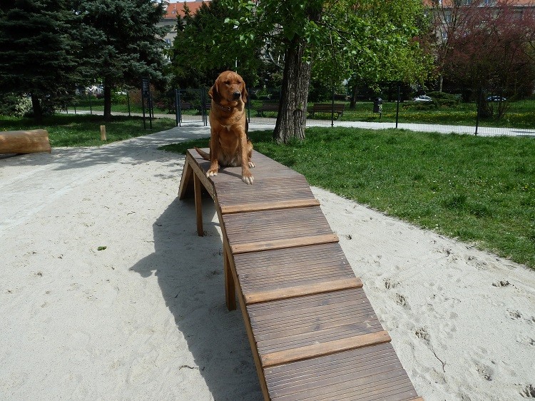 P1050838z.JPG