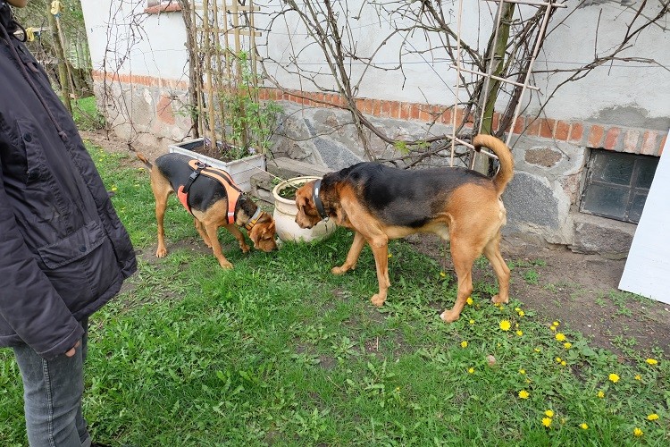 24 z Sokołem.jpg