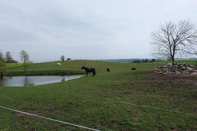 26 wygony Sokoła.jpg