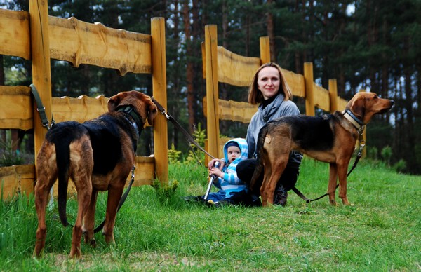 Wdrukowywanie ogarów :)