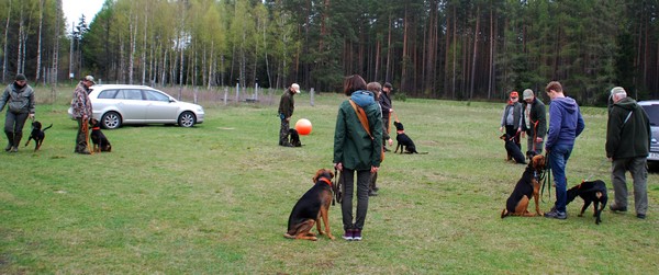 DSC_9676.JPG