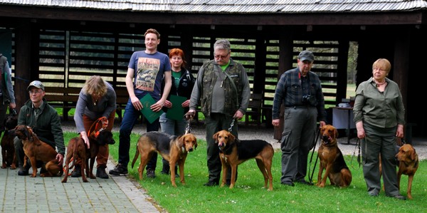 Ogarzy kącik