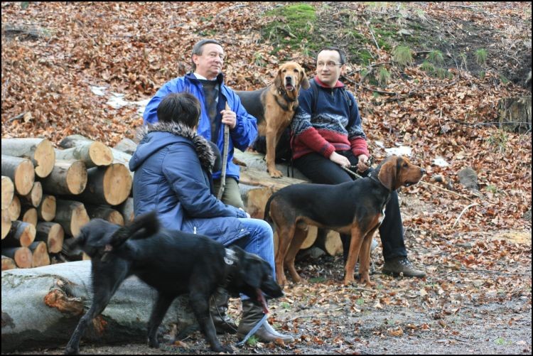 od lewej: Beria &quot;funfel&quot; Zagaja i Pasji (matka spaniel jak widac ;) ), babcia Bogusia, dziadek Edek, mnie i Zagaja znacie , Tomusia chyba też.