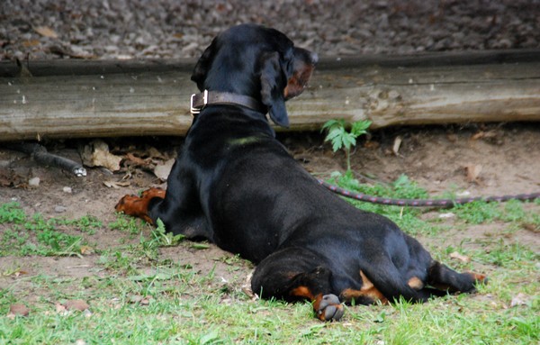 DSC_9834.JPG