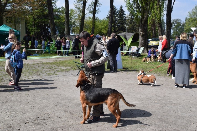 1 ROZMARYN POSZŁY W LAS.jpg