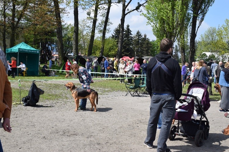 4 POGROM Z  BESKIDZKICH WYSP.jpg