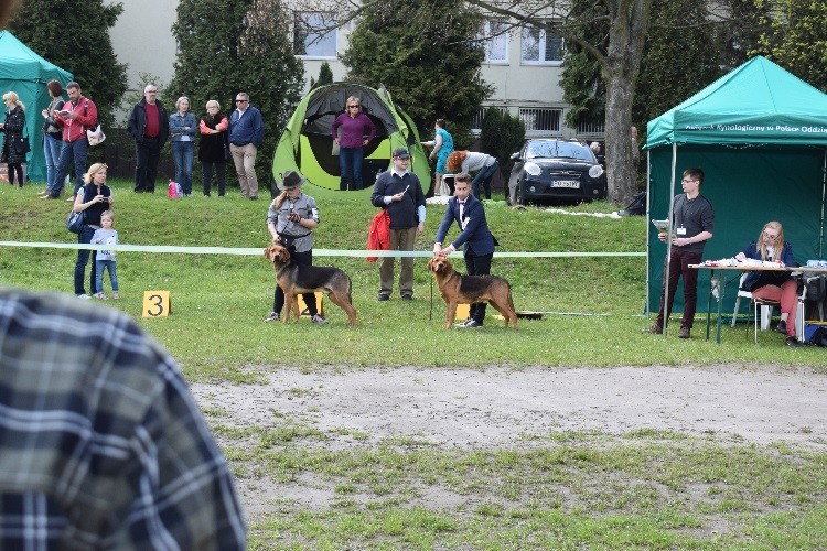 6 CEZAR Z KRYNICKIEJ DOLINY I CZUWAJ Z WSZYSTKICH SKOKÓW .jpg