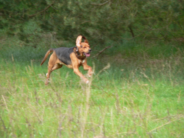 P1260430-001.JPG