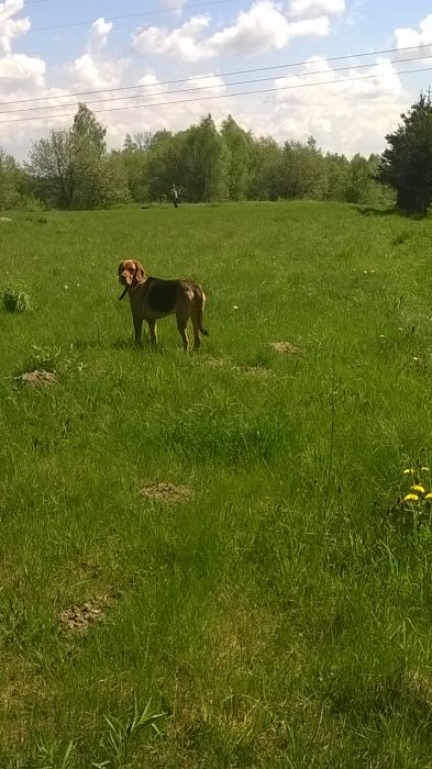 WP_20170514_11_13_59_Pro.jpg