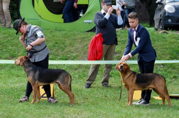 Chłopaki młodzież