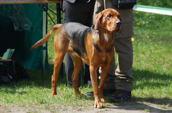 DSC_0054.JPG