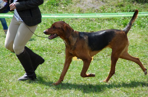 DSC_0119.JPG