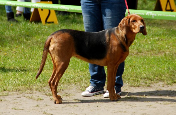 Runa