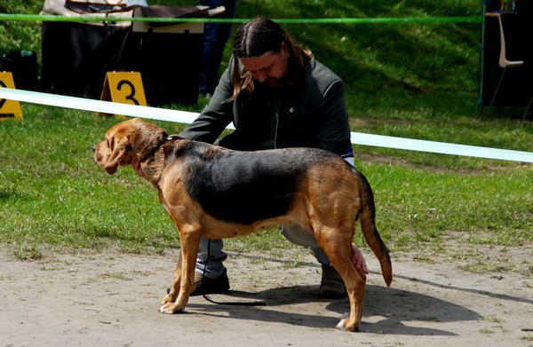 Fraszka