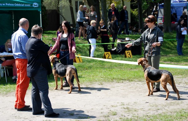 I tu był zgryz....jedna głowa, druga reszta. Kogo wybrać? cyt. &quot;Mniejsze zło&quot; :)))) Ale nabiegać się musieliśmy strasznie wszyscy :)