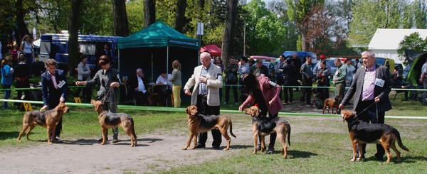 DSC_0160.JPG