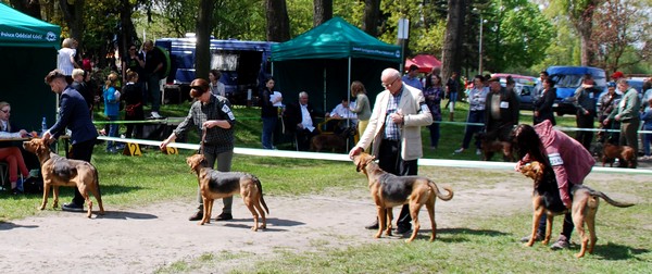 DSC_0161.JPG