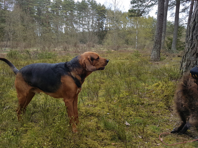 20170502_120038.jpg