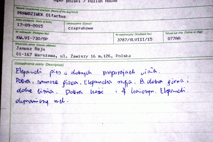 14-Opis-.gif