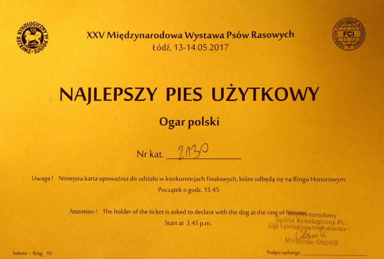 16-Uzytkowy w rasie.gif