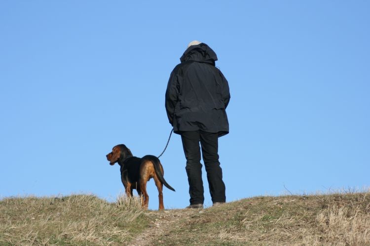 Dwaj &quot;poważni&quot; panowie podziwiają widoki.