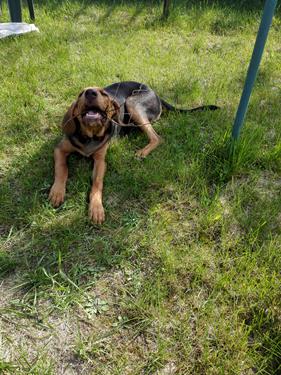 IMG_20170513_160954 (Copy).jpg