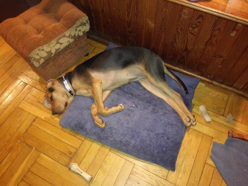 IMG_20170517_214928 (Copy).jpg