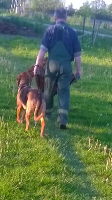 WP_20170519_19_11_42_Pro.jpg