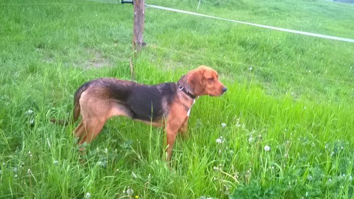 WP_20170520_17_56_12_Pro.jpg
